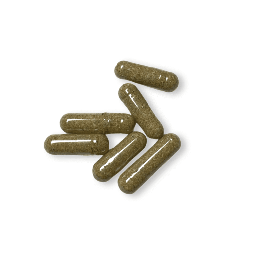 500MG-MUSH-1024x1024-1.png Magic Mushroom Capsules 500mg - Image 1