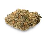 Granddaddy Purple