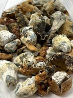 King Kong Magic Mushrooms - Image 3