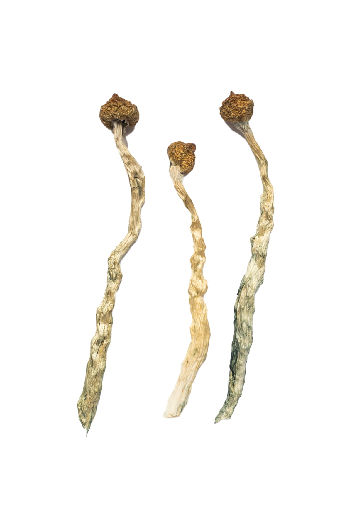 arenal-volcano-magic-mushrooms.jpg Arenal Volcano Magic Mushrooms - Image 1