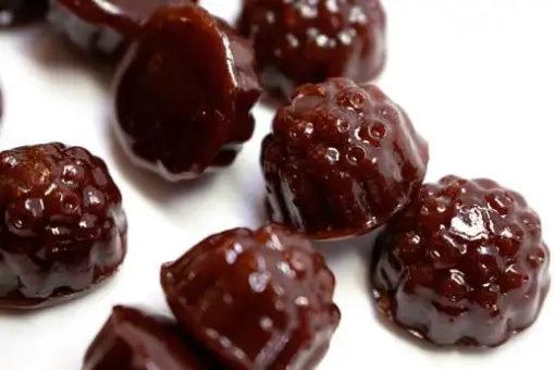 dames.webp Dames Gummy Co. – Shroom Gummies (1500mg) - Image 1