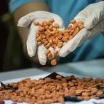 DMT PILLS