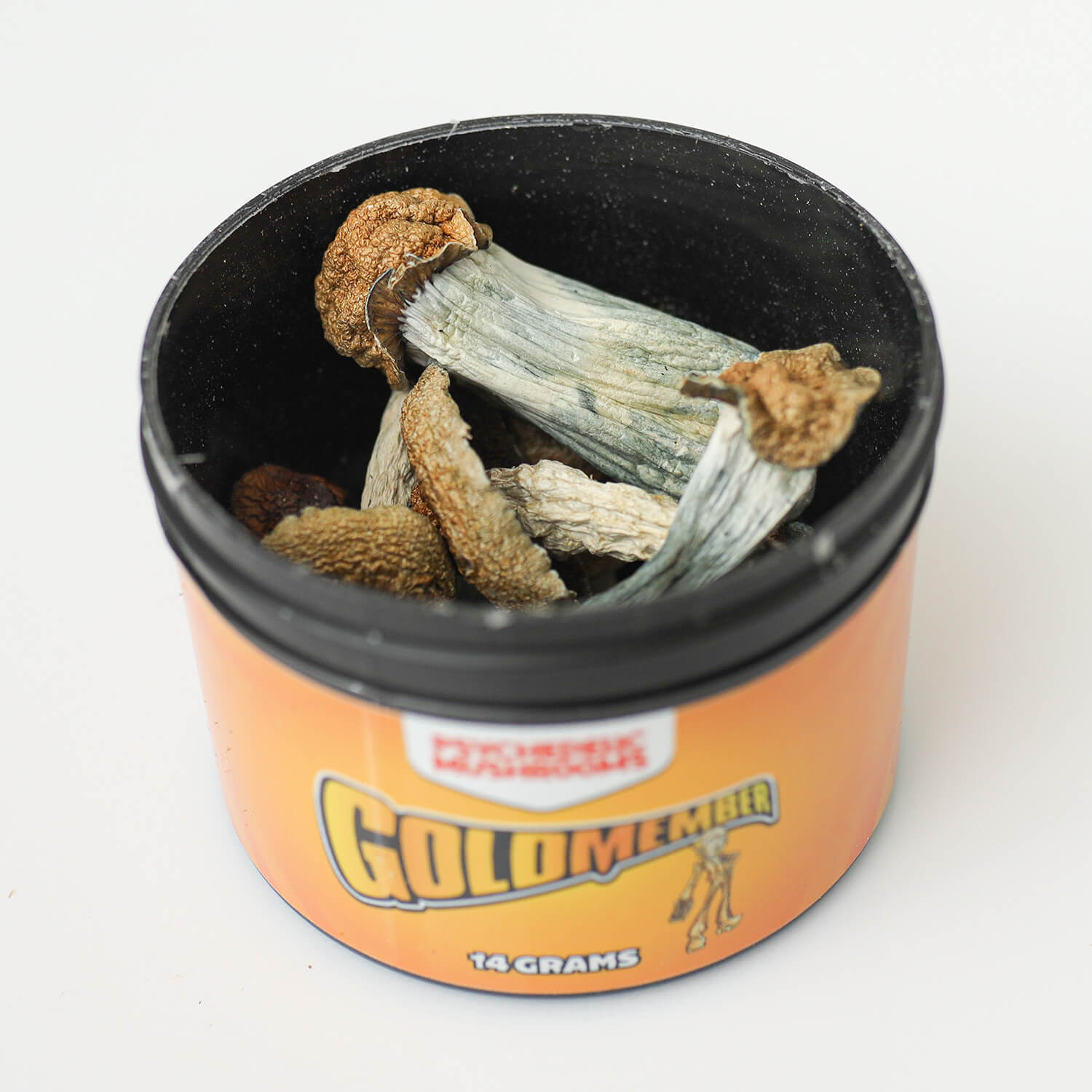 goldmember-mushrooms-canada.jpg Goldmember Shrooms - Image 1