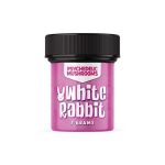 White Rabbit - Image 5